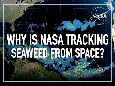 Why Is NASA Tracking Seaweed From Space?